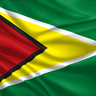 01 bandeira da guiana