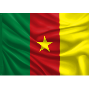 01 bandeira de camaroes