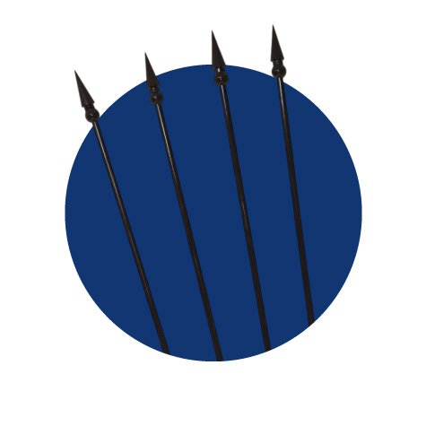 categoria 7